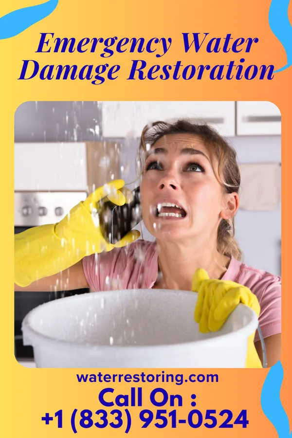 Emergency Water Damage Restoration in Adairville, KY