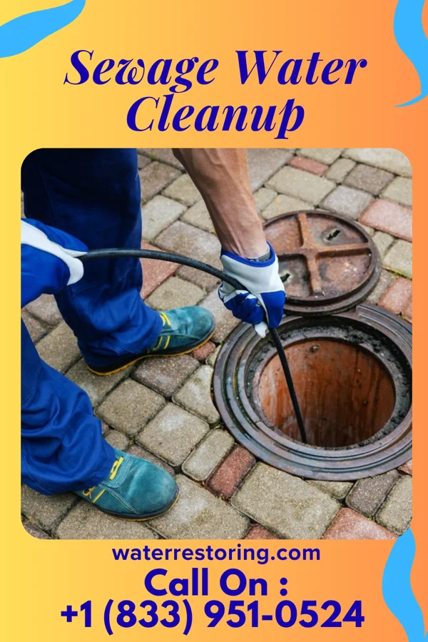 Sewage Water Cleanup in Adairville, KY